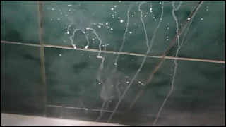 I'm trying a product to increase sperm count