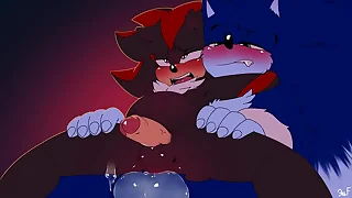 Shadow and werehog Sonic